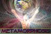 Metamorphosis Workshop - Signup for our newsletter for complete details, dates and more.